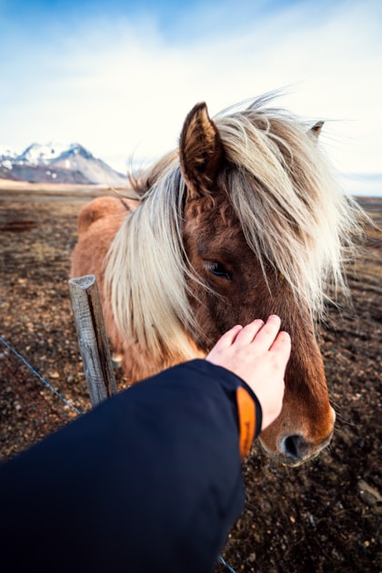 Faith and Nature: A Perfect Pair