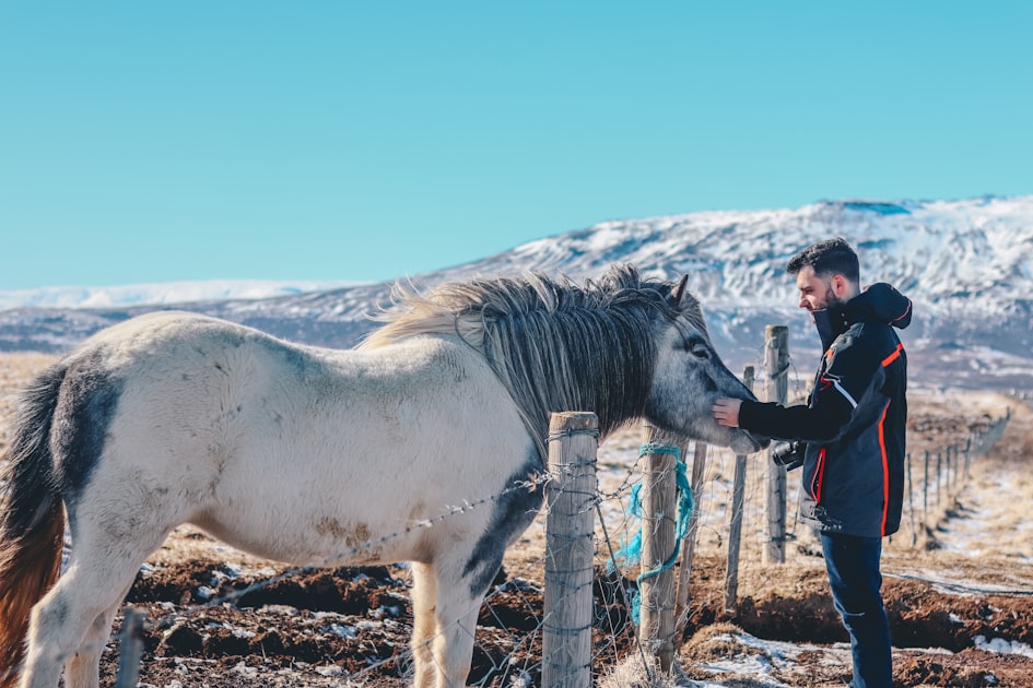 The Healing Power of Animals